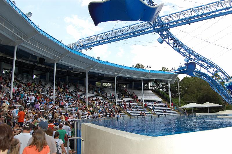 232. whale and dolphin theater.JPG